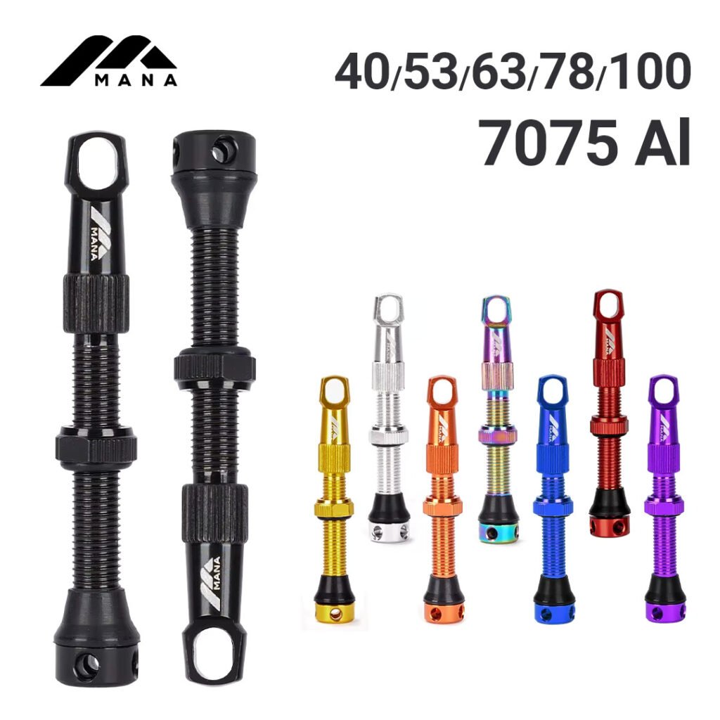 valvulas tubeless coes